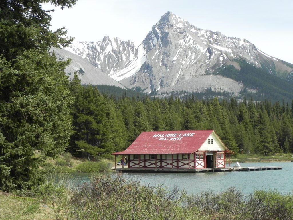 Reference photo from the Master Oil Painting library